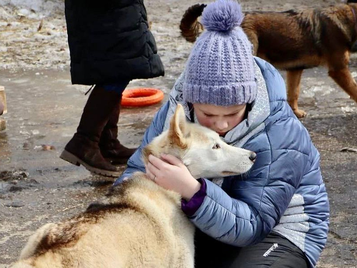 Волонтеры ульяновского приюта для брошенных животных «Дорога добра»:  «Лучшая награда – это глаза счастливой собаки в новом доме» - KP.RU