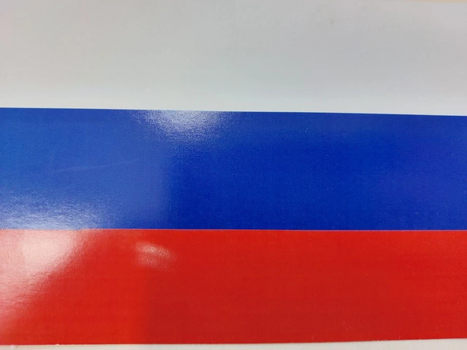 Выборы!