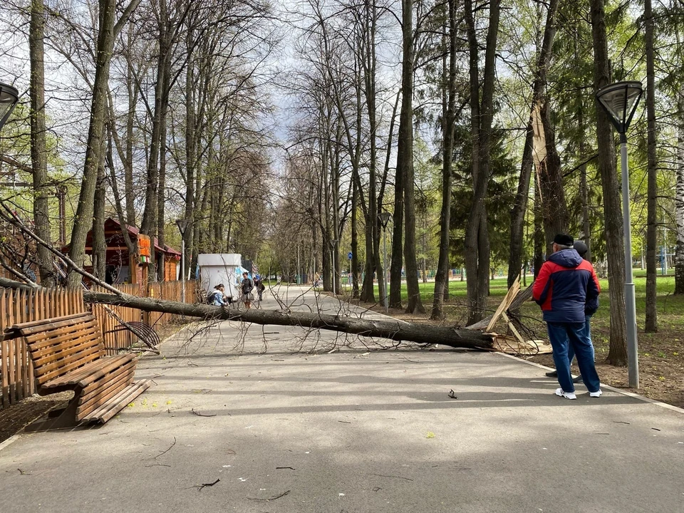При сильном ветре не стоит находиться рядом с деревьями, хрупкими постройками, рекламными щитами, водоемами, металлическими конструкциями.
