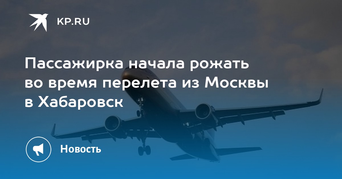 Хабаровск москва авиабилеты с животными авиабилеты чита кассы