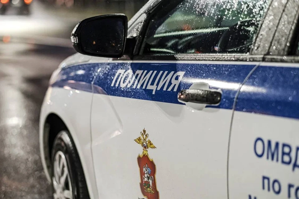 Полиция работает в парке на северо-западе Москвы, где нашли пруд с трупами кошек и собак.