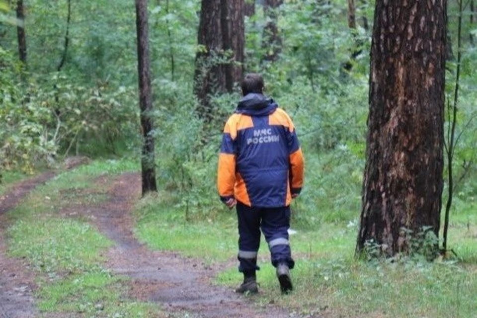 В поисках участвовали более 20 человек