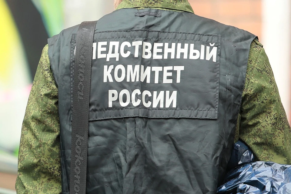 Глава СК России взял на особый расследование насилия над 7-летней девочкой в Туве