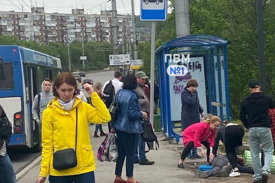 Конфликт произошел на остановке "Улица Ледовая" в Мурманске. Фото: vk.com/pvm51