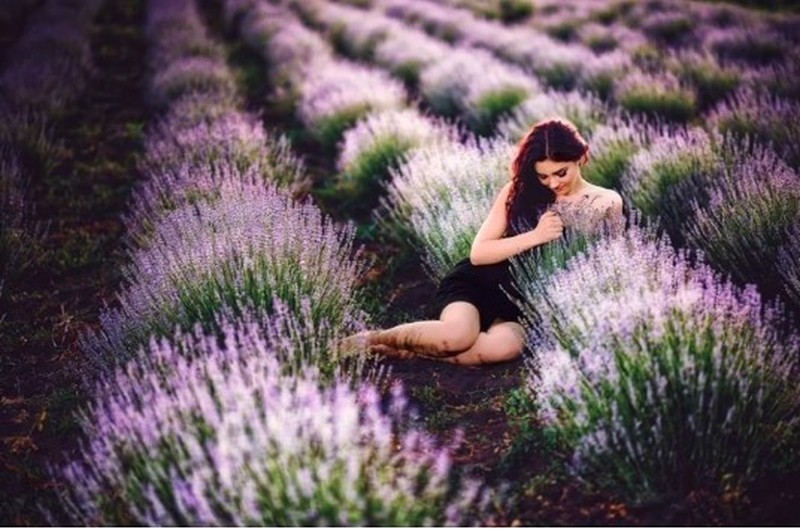 Сезон фотографий на лавандовых полях официально объявлен открытым! Фото:noi.md