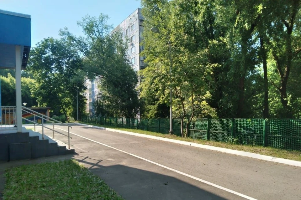 Опасное дерево растет за пределами детского сада. Фото: администрация Рязани.