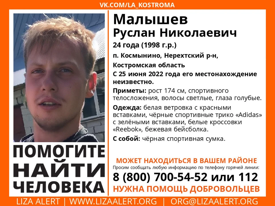 Фото: ДПСО Лиза Алерт Костромской области