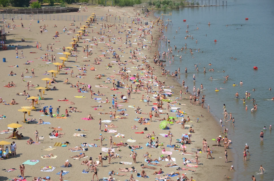 В Новосибирске планируют разбить новый парк возле пляжа.