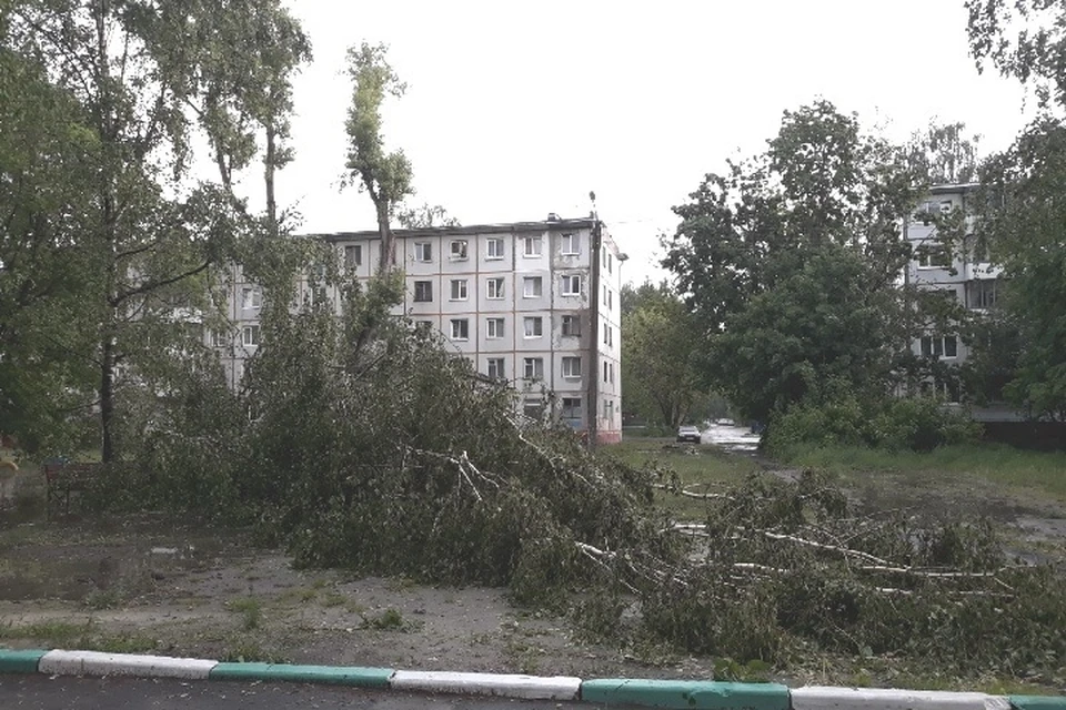 Брянцам рекомендуют держаться подальше от деревьев и слабоукрепленных конструкций.