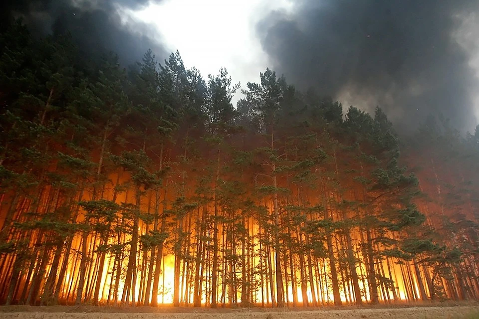 Сейчас установлен 4-5 класс пожарной опасности. Фото: vk.com/ecology_51