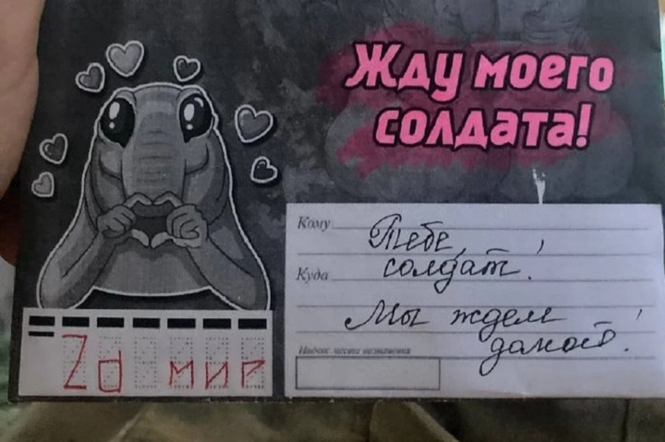 Письмо школьницы из Биробиджана дошло до солдата – выпускника ее школы Фото: Telegram-канал @meriyabir