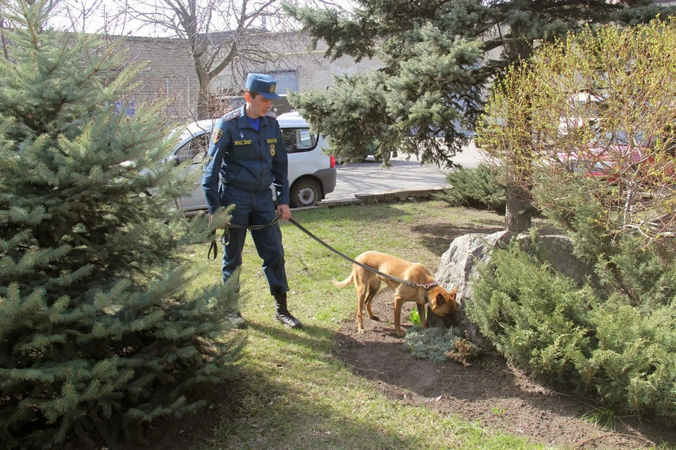 При обследовании помещений зданий и прилегающей территории взрывоопасных предметов выявлено не было. Фото: dnmchs.ru