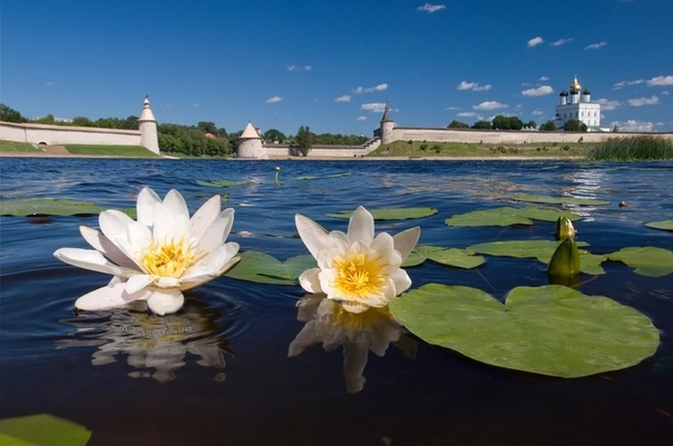 Фото: Юрий Яковлев