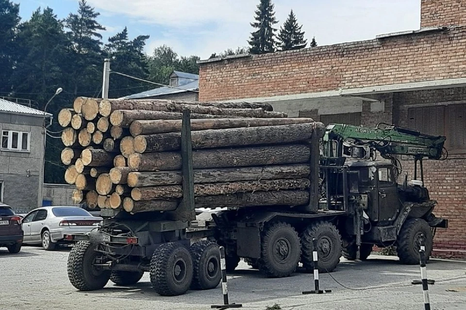 В микрорайоне Нижняя Ельцовка задержали «черных лесорубов». Фото: «Навигатор»