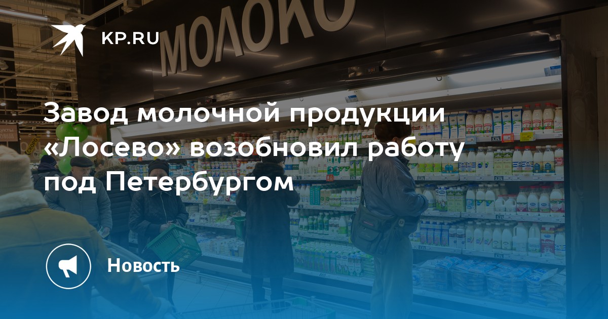 Завод молочной продукции «Лосево» возобновил работу под Петербургом -KPRU