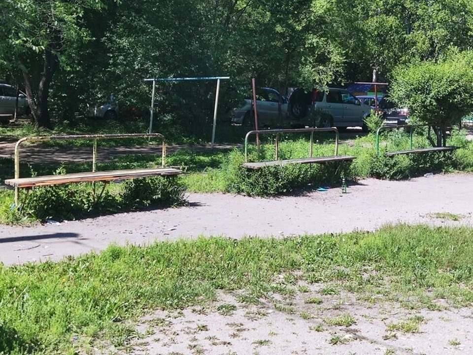 Фото: ОНФ Амурской области