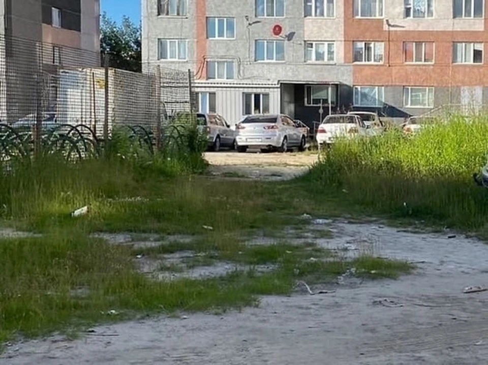 ДО УБОРКИ. ФОТО: VK.COM ЗЛОЙ НОЯБРЯНИН