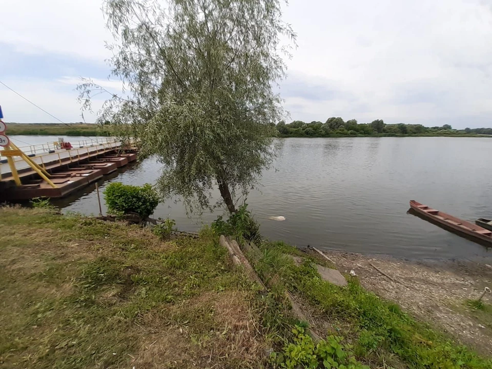 Фото СУСКа Воронежской области