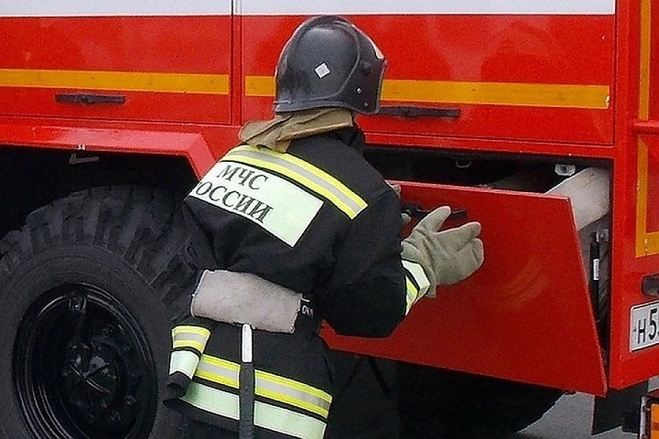 Под Тверью спасатели тушили лесной пожар