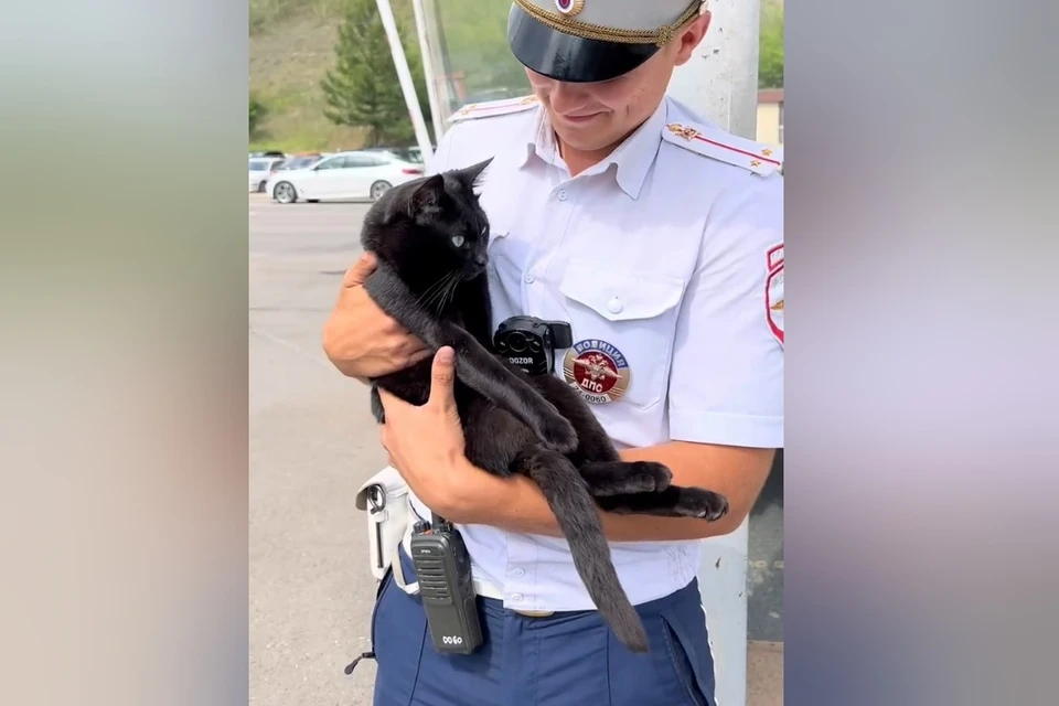 Фото: ГИБДД Красноярска