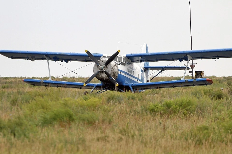СК РФ назвал возможные причины падения самолета Ан-2 на Кубани