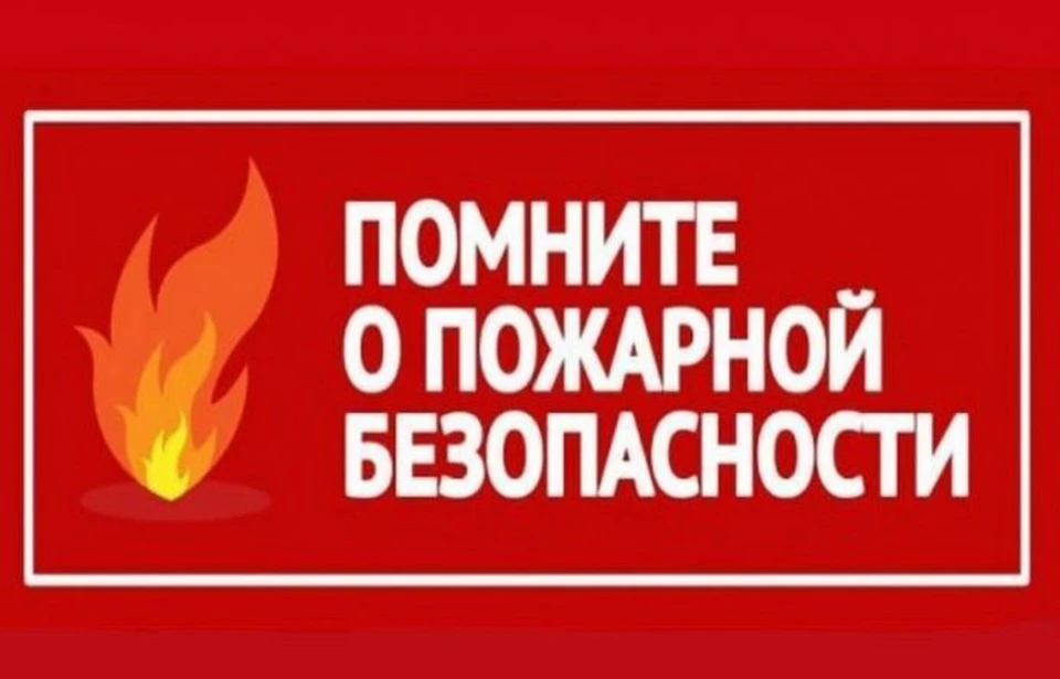 На Ямале спасатели тушат шесть природных пожаров. Фото - dprr.yanao.ru.