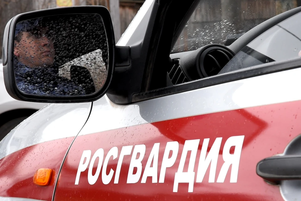 В Можге сотрудники экипажа вневедомственной охраны Росгвардии по задержали молодого человека 2000 года рождения, ограбившего магазин. Фото: пресс-служба Управления Федеральной службы войск национальной гвардии Российской Федерации по Удмуртской Республике