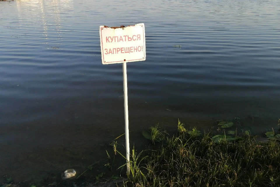 Почему нельзя нырять в карповое. Купаться запрещено. Купаться запрещено Ярославль. Озеро в котором нельзя купаться. Купание запрещено озеро.