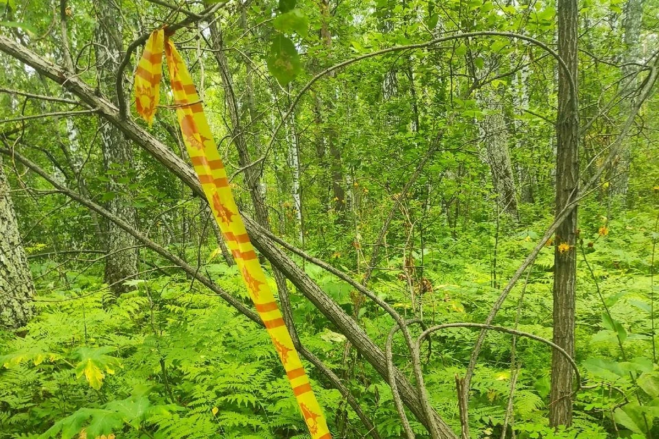 После «Зеленого марафона» в Ботаническом саду остался мусор. Фото: предоставлено Марком
