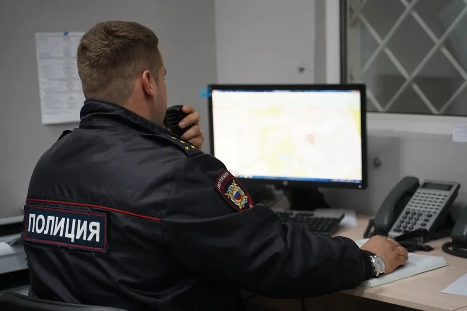 Сотрудники полиции задержали злоумышленника