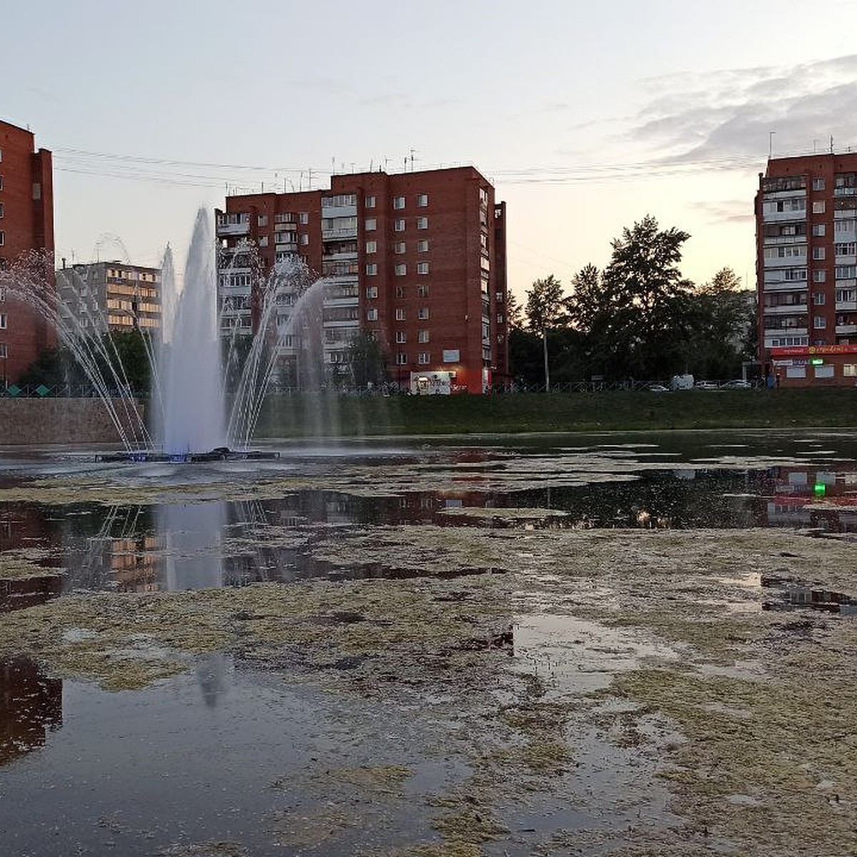 Фонтан среди тины: в Челябинске пруд «Девичьи слезы» превратился в болото -  KP.RU