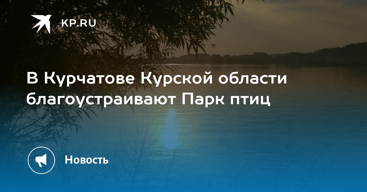 В Курчатове Курской области благоустраивают Парк птиц - KP.RU