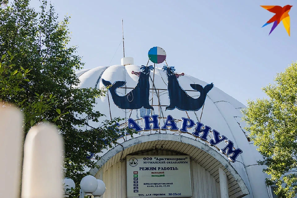 Также прокуратура вынесла директору океанариума предостережение.