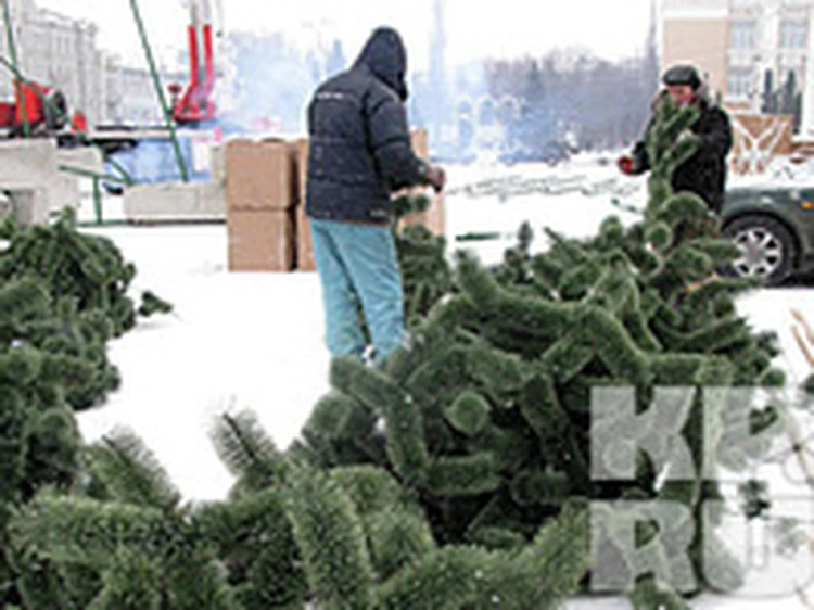 В Воронеже на площади Ленина 15 января начнут разбирать елку