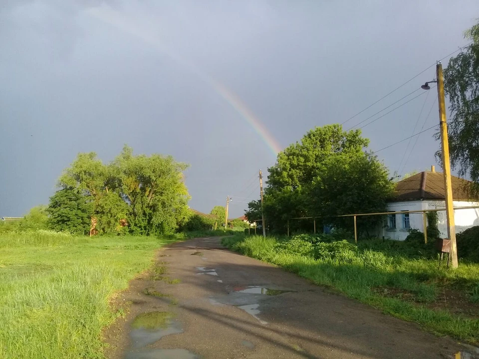 В случае если во время дождя вы находитесь загородом, держитесь подальше от пораженного молнией дерева или участка леса с высокими деревьями.