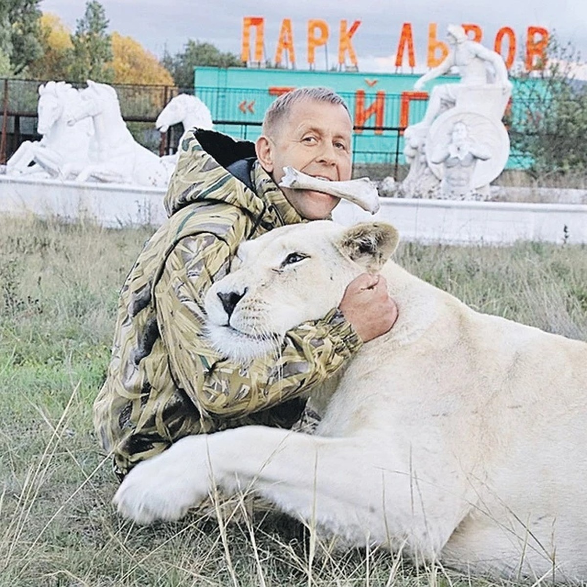 Владелец парка «Тайган» Олег Зубков получил срок после инцидента, когда лев  откусил палец ребенку - KP.RU