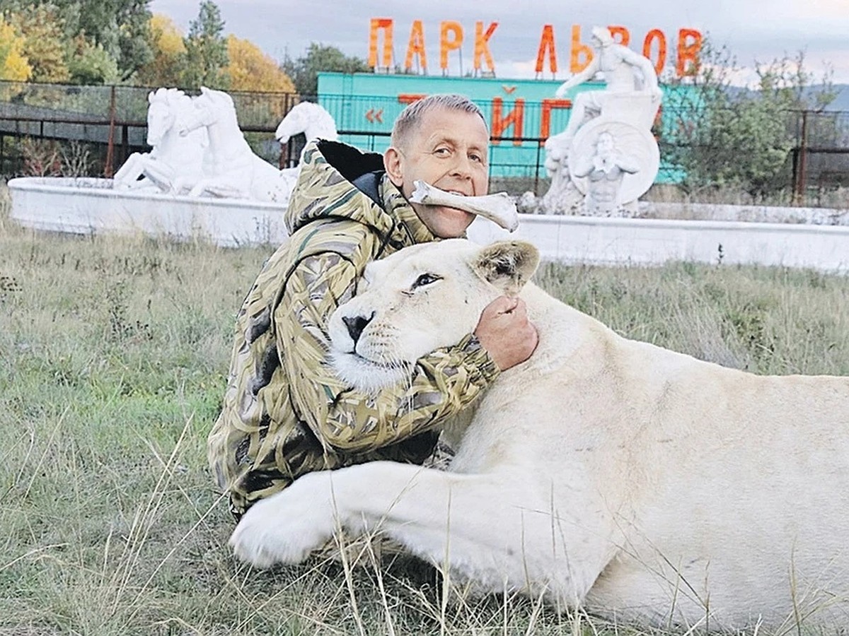 Владелец парка «Тайган» Олег Зубков получил срок после инцидента, когда лев  откусил палец ребенку - KP.RU