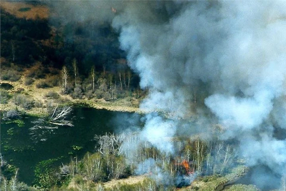 Всего в регионе сейчас тушат четыре лесных пожара. Фото: Авиалесоохрана Хабаровского края
