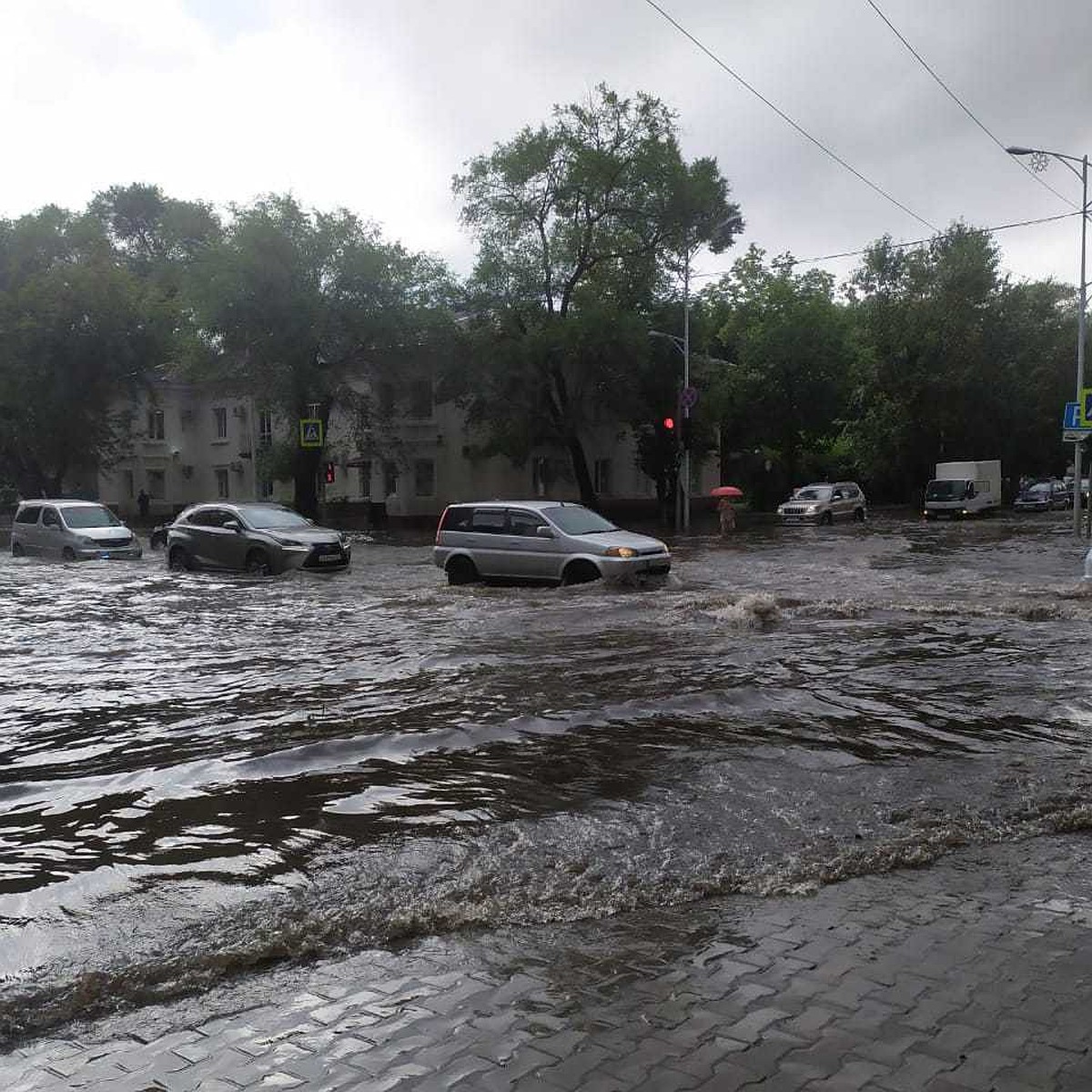 После сильного дождя без электричества остались отдаленные районы  Благовещенска - KP.RU