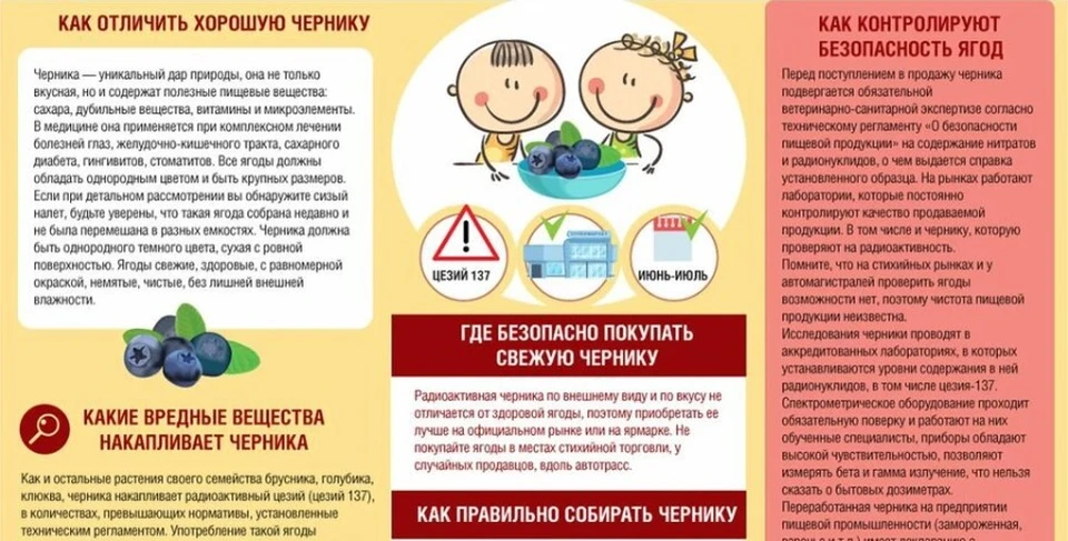 Фото: Роспотребнадзор