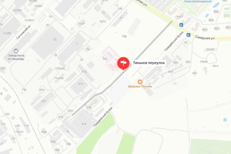 Тиньков переулок останется на карте Петербурга. Фото: Яндекс.Карты