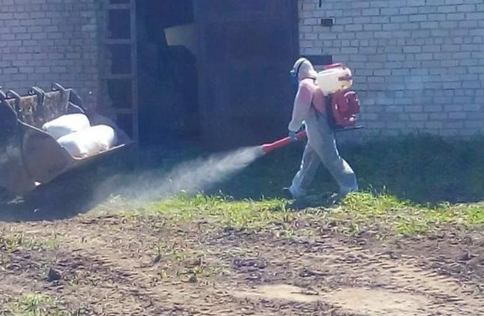 Фото: пресс-служба губернатора Костромской области