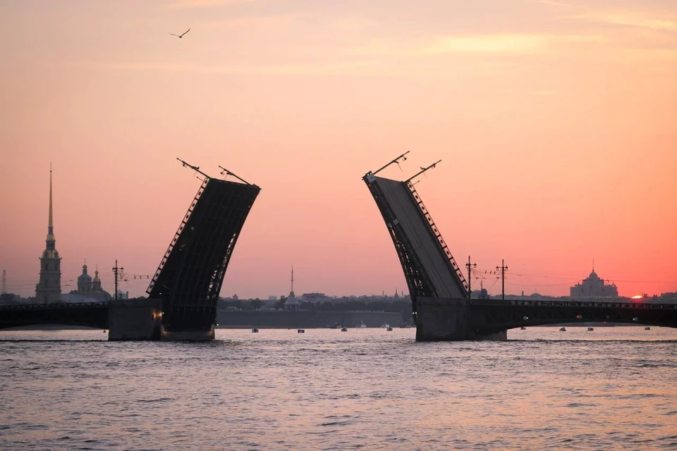 Петербург дворцовый мост фото Дворцовый мост разведут под Седьмую симфонию Шостаковича в ночь на 9 августа - K