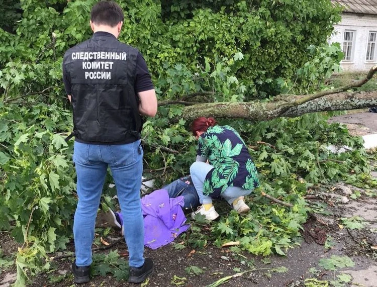 В Ярославской области женщину во время грозы убило упавшее дерево