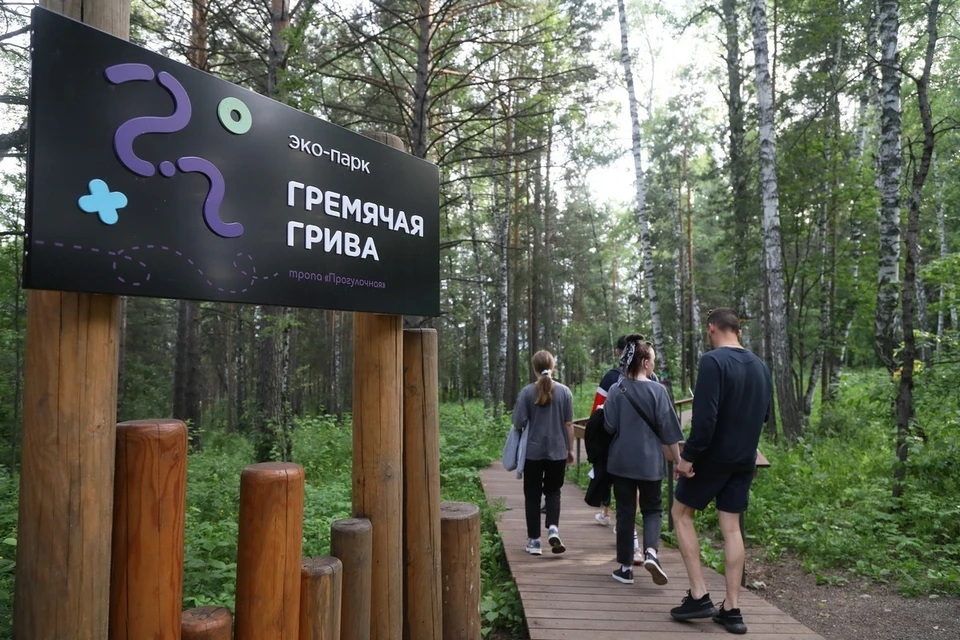 В Красноярске в «Гремячей гриве» велосипедистка сломала ногу