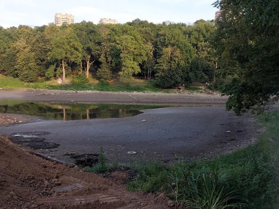 Пруд в Платоновском парке Тулы спустили почти до дна из-за ремонта плотины