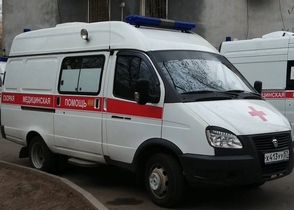 Фото: Ольга Супонева/Архив "КП"