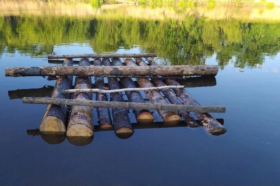 По данному факту проводится доследственная проверка. Фото: СУ СКР по Марий Эл