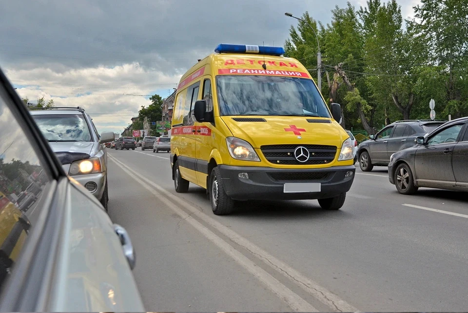 В Москве скончалась четырехмесячная девочка, которую сбросила с дивана собака