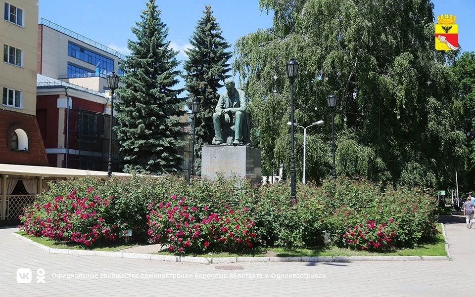 Фото мэрии Воронежа
